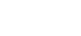 Domtel Biegi